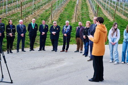 Rez potomke Sˇkalce 26